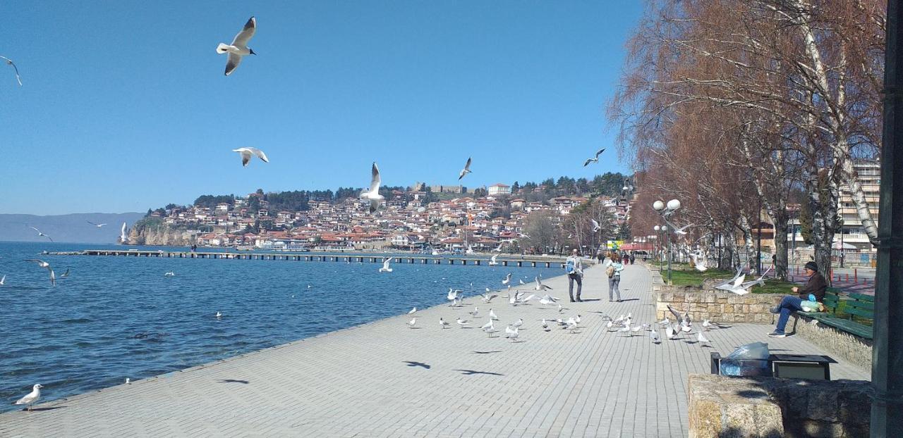 Kibar Daire Ohri Dış mekan fotoğraf