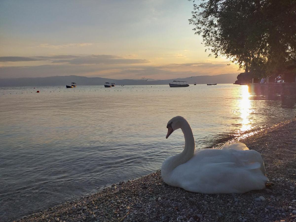Kibar Daire Ohri Dış mekan fotoğraf